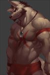 abs anthro biceps big_muscles black_nose brown_fur canine clothed clothing dog_tags fangs fur looking_at_viewer male mammal muscular muscular_male partially_clothed pecs rollingstoneeeeee simple_background smile solo standing underwear wolf yellow_eyes 
