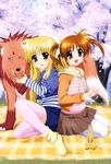  absurdres arf blonde_hair casual cherry_blossoms fangs fate_testarossa ferret forehead_jewel highres long_hair lyrical_nanoha multiple_girls non-web_source nyantype one_eye_closed petals purple_eyes red_eyes red_hair seiza short_twintails sitting takamachi_nanoha thighhighs twintails very_long_hair wolf yuuno_scrya zettai_ryouiki 