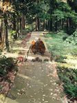  forest japanese_clothes looking_down male_focus miniboy nature path road sabakamen squatting touken_ranbu tousou_(touken_ranbu) yamabushi_kunihiro 