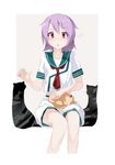  bad_id bad_pixiv_id cat cat_day cat_on_lap commentary_request flying_sweatdrops gareki kantai_collection neckerchief open_mouth petting purple_hair red_eyes school_uniform serafuku shirt short_hair short_sleeves shorts sitting solo tama_(kantai_collection) 