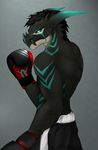  2016 angiewolf antrho boxing clothing dragon hair male shoxx solo sport 