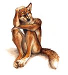  2016 anthro blue_eyes brown_body brown_fur canine claws dog front_view fur kenket male mammal nude paws simple_background smile solo traditional_media_(artwork) watercolor_(artwork) white_background white_fur white_sclera 