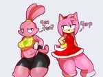  2016 amy_rose anthro crossover duo female hedgehog jaynatorburudragon lagomorph mammal panini rabbit sonic_(series) 