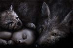  alisha-mordicae_(artist) amazing bond canine cute human invalid_tag lying mammal protecting sleeping wolf 