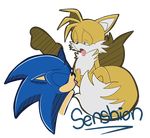  male male/male miles_prower oral senshion sonic_(series) sonic_the_hedgehog 
