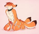  canine collar cum cum_on_face ears_back erection fox kelevtov kneeling male mammal solo submissive 