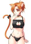  :p animal_ears atsukan bell bell_choker black_panties bow breasts cat_cutout cat_ear_panties cat_ears cat_lingerie cat_tail character_request choker cleavage cleavage_cutout jingle_bell large_breasts looking_at_viewer meme_attire navel orange_eyes orange_hair panties short_hair side-tie_panties simple_background solo tail tail_bow tongue tongue_out underwear white_background 