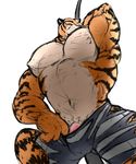  disney dustyang93 feline male mammal pecs penis stripper_tiger_(zootopia) tiger zootopia 