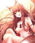  animal_ears holo naked spice_and_wolf tagme tail 