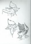  barisaxophone77_(artist) canine dog finwolfsky_(character) husky hybrid male mammal penis_tongue wolf wolfsky 