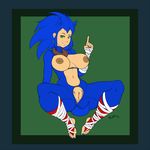  2016 anthro anus areola big_breasts breasts crossgender erect_nipples female hedgehog humanoid humanoidized mammal nipples pherociouseso pussy solo sonic_(series) sonic_the_hedgehog 