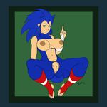  2016 anthro anus areola big_breasts breasts crossgender erect_nipples female hedgehog humanoid humanoidized mammal nipples pherociouseso pussy solo sonic_(series) sonic_the_hedgehog 