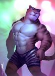  2016 abs anthro biceps big_muscles black_fur clothed clothing dalluwn disney feline fur green_eyes looking_at_viewer male mammal muscular muscular_male navel orange_fur pecs pose smile solo standing stripes stripper_tiger_(zootopia) tiger topless whiskers white_fur zootopia zootopia_shorts 