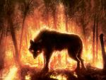  anthony_palumbo backlit canine feral fire forest looking_at_viewer magic_the_gathering male mammal official_art orange_theme quadruped side_view solo standing tree wolf 