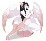  anthro black_hair breasts canine feathered_wings feathers female hair long_hair mammal multi_tail nude pose simple_background solo spread_legs spreading venerit white_background wings 
