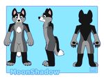 canine male mammal model_sheet moonshadow_wolf neonslushie solo wolf 