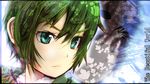  1girl androgynous artist_request close-up close_up green_eyes green_hair kino kino_no_tabi short_hair smile solo 