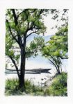  grass higasayama_naomi lake landscape no_humans original scenery traditional_media tree water watercolor_(medium) watercraft 