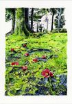  flower grass higasayama_naomi landscape moss no_humans original roots scenery traditional_media tree watercolor_(medium) 