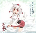  animal_ears character_name detached_sleeves hat inubashiri_momiji kanda_aya shochuumimai skirt solo tail tokin_hat touhou wading water wolf_ears wolf_tail 