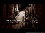  tagme wild_adapter 