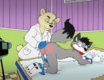  age_difference anal anal_penetration anthro anus ball_gag balls bear butt canine detailed_background digital_media_(artwork) doctor fingering gag male male/male mammal nelson88 nude penetration wolf young 