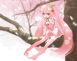  boots cherry_blossoms detached_sleeves hatsune_miku in_tree long_hair necktie niboshi open_mouth pink_footwear pink_hair pink_legwear red_eyes sakura_miku sitting sitting_in_tree skirt solo thigh_boots thighhighs tree twintails very_long_hair vocaloid zettai_ryouiki 