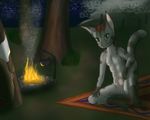  braided_hair breasts campfire camping clitoris cornrows cub feline green_eyes hair khajiit mammal mercmech multi_breast nude pussy red_hair rug skyrim spread_legs spreading star teenager tent the_elder_scrolls tree video_games young 