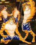  chirenblog disney feline male mammal smile stripper_tiger_(zootopia) tiger zootopia 