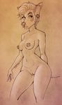  2016 anthro areola breasts brown_background bull_terrier canine dog ear_piercing english_text eyebrow_piercing facial_piercing female fur hair hi_res kaylii mammal nipple_piercing nipples nude piercing pussy rose_(character) signature simple_background solo text wide_hips 