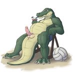  alligator anthro anus balls claws erection humanoid_penis male mnty penis reptile scalie slightly_chubby solo sport toe_claws vein volleyball 