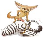  ambiguous_gender animal_genitalia animal_penis anthro balls butt canine canine_penis duo equine fennec finnick fox knot male mammal penis wolfgirl_(artist) zebra 