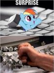  friendship_is_magic keyboard meme my_little_pony rage rainbow_dash_(mlp) tagme 