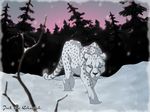  2008 all_fours black_eyes black_nose cheetah detailed_background digital_media_(artwork) english_text feline feral fur jrik looking_down male mammal outside plant sad sky snow snowing solo spots spotted_fur text tree white_fur white_sclera wolfy-nail 