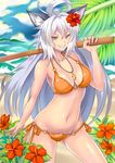  absurdres ahoge animal_ears arm_at_side ass_visible_through_thighs bad_id bad_pixiv_id beach bikini breasts carrying_over_shoulder cloud contrapposto cowboy_shot day flower grin groin hair_flower hair_ornament halterneck hibiscus highres huge_ahoge jewelry large_breasts long_hair looking_at_viewer navel necklace o-ring o-ring_bikini ocean orange_bikini original outdoors palm_tree pendant pink_lips red_flower sand silver_hair sky slit_pupils smile solo standing stomach string_bikini summer swimsuit tree tropical tsurime urkaze_(urture) white_hair yellow_eyes 