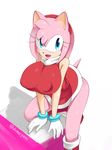  amy_rose anthro breast_squish breasts clothed clothing domoipetti erect_nipples female hair hedgehog mammal nipples open_mouth pink_hair pose short_hair smile solo sonic_(series) video_games voluptuous 