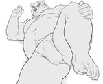  anthro bear bulge clothing fundoshi japanese_clothing looking_at_viewer male mammal monochrome muscular oak orchish_(pixiv) simple_background solo tenting underwear white_background 