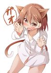  animal_ears blush brown_eyes brown_hair cat_ears misaka_mikoto mukunoki_nanatsu naked_shirt shirt solo to_aru_kagaku_no_railgun to_aru_majutsu_no_index 