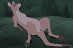  2016 anatomically_correct anatomically_correct_pussy emptyset faloo female feral fur kangaroo lying mammal marsupial on_back pink_fur pussy rescuers_down_under solo spread_legs spreading 