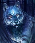  2016 ambiguous_gender blue_fur blue_theme bust_portrait canine drooling feral forest fralea fur mammal night outside portrait saliva solo tree wolf 