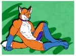  anthro balls blue_penis canine collar dolar erection fox fur humanoid_penis impulse_the_fox looking_at_viewer male male/male mammal orange_fur penis presenting ring simple_background 