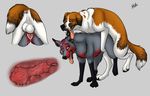  anatomically_correct animal_genitalia animal_penis animal_pussy backsack balls canine canine_pussy cum dog female feral fur hybernation internal knot knotting male male/female mammal penis pussy saint_bernard sex simple_background tongue tongue_out 