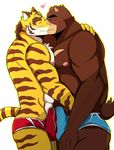  2016 abs anthro bear bearlovestiger13 biceps boxer_briefs bulge clothed clothing duo erection feline fur hi_res jewelry juuichi_mikazuki kissing male male/male mammal morenatsu muscular necklace nipples pecs tiger topless torahiko_(morenatsu) underwear 