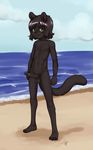  aogami balls beach cat circumcised cub erection feline green_eyes hi_res looking_at_viewer male mammal navel nude outside penis seaside signature smile solo uncut young 