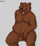  anthro balls bear belly deessel fur male mammal open_mouth overweight penis slightly_chubby 