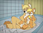  age_difference anthro balls bath bathing bathroom bathtub canine cub digital_media_(artwork) duo father father_and_son fox fur male mammal nelson88 nude parent size_difference smile son water young 