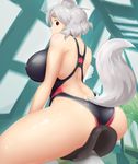  1girl absurdres animal_ears ass back back_cutout breasts competition_swimsuit from_behind highres huge_breasts inubashiri_momiji looking_back looking_down one-piece_swimsuit profile red_eyes short_hair silver_hair sitting solo swimsuit tail thighs tochinoko touhou wolf_ears wolf_tail 