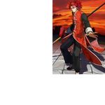  assassin_(fate/extra) chinese_clothes fate/extra fate/grand_order fate_(series) lance male_focus polearm ponytail red_hair shadow solo sunset wada_aruko weapon 