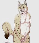  anthro balls belly deessel feline fur lynx male mammal overweight penis slightly_chubby 