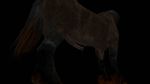  black_background dark dark_brotherhood dripping equine from_behind_position horse male mammal penis phyrr simple_background skyrim solo the_elder_scrolls video_games 